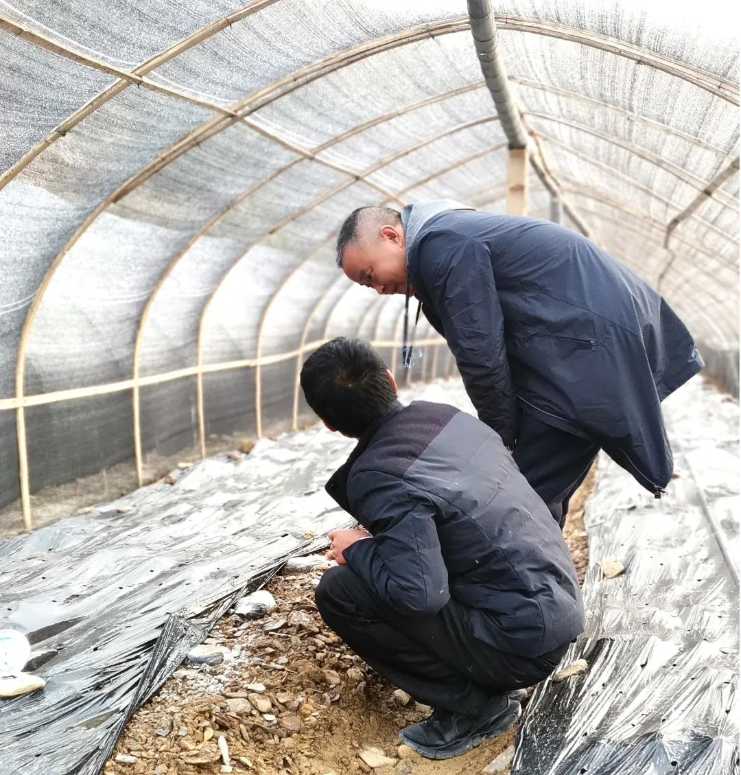 微信圖片_20221229145638.jpg 微信圖片_20221229145638.jpg