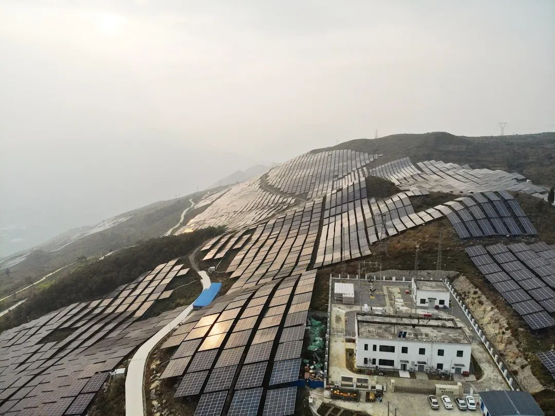 圖片1.png 圖片1.png